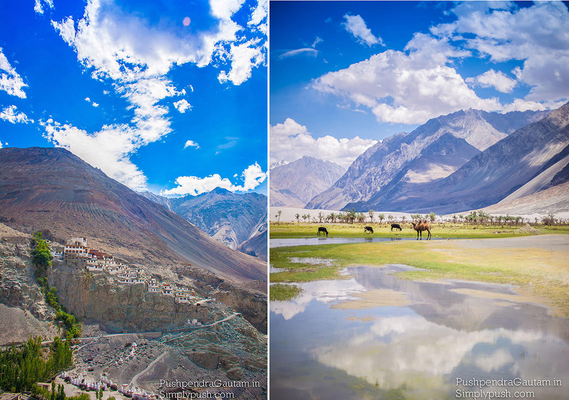 Nubra-valley-travel-pics-pushpendragautam-pics-event-photographer-india